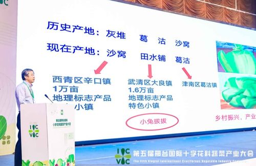 小種子撬動大產業 第五屆邢臺國際十字花科蔬菜產業大會盛大啟帷，展現科技興農新圖景