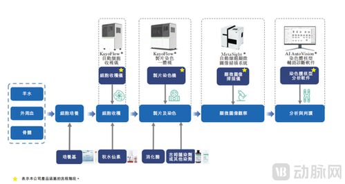 德適IPO上市首日開盤大漲121%，醫療影像AI迎來“大模型時代”新標桿
